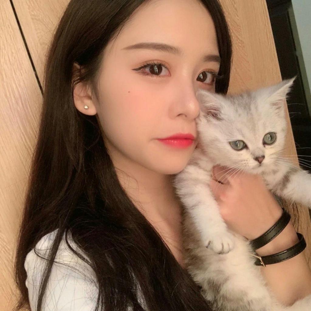 银河棋牌下载手机版